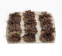 Burnt Cocoa Chrysanthemum
