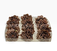 Burnt Cocoa Chrysanthemum