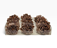 Burnt Cocoa Chrysanthemum
