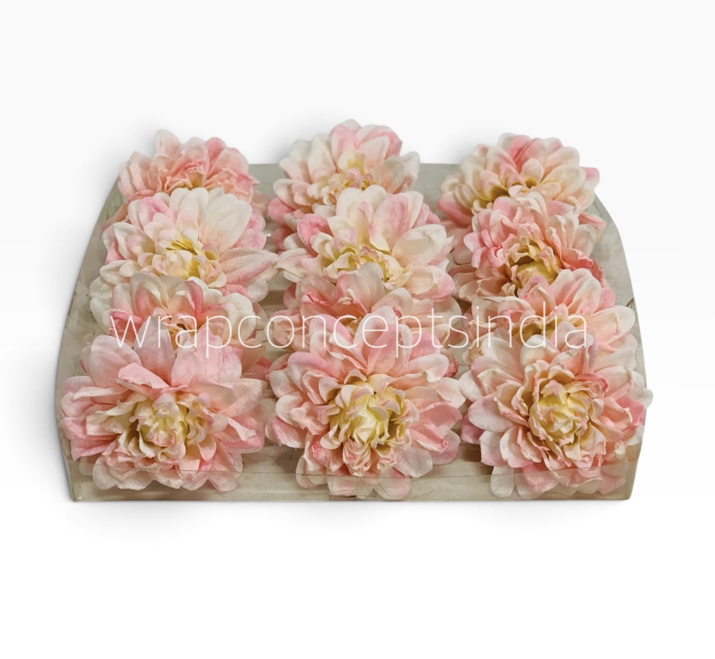 Blush Ivory Chrysanthemum