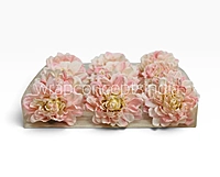 Blush Ivory Chrysanthemum