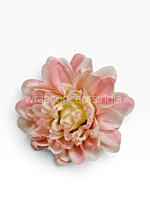 Blush Ivory Chrysanthemum