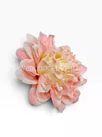 Blush Ivory Chrysanthemum