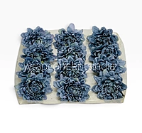 Burnt Blue Chrysanthemum