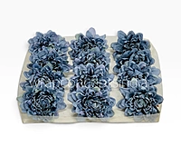 Burnt Blue Chrysanthemum