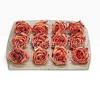 Burnt Sunset Rose