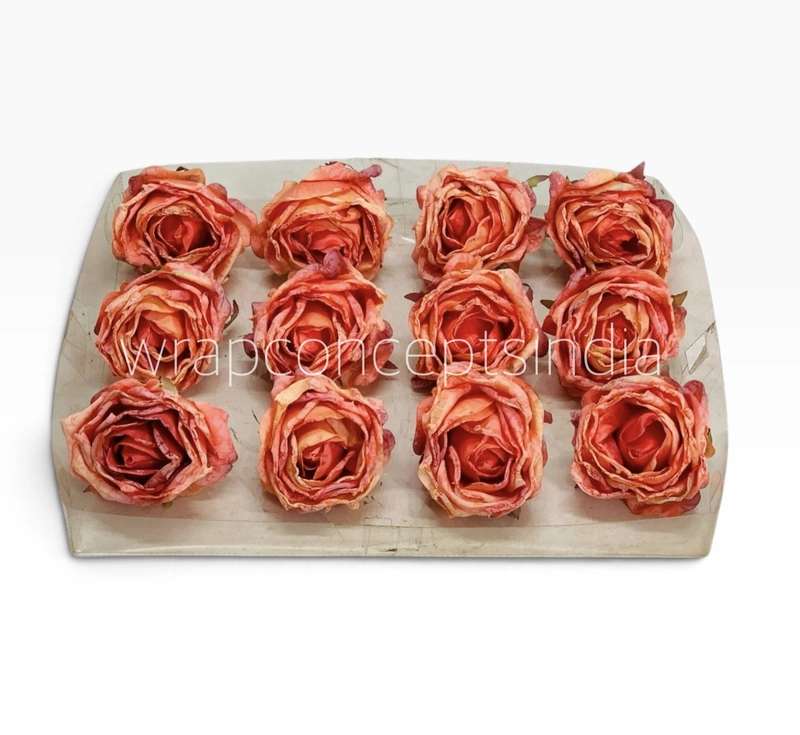 Burnt Sunset Rose