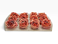 Burnt Sunset Rose