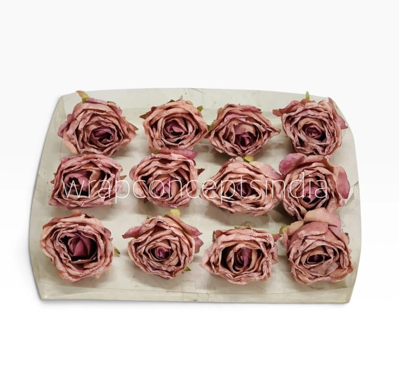 Dusty Blush Rose