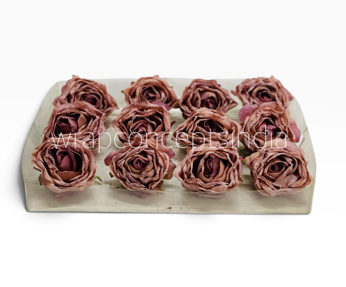 Dusty Blush Rose