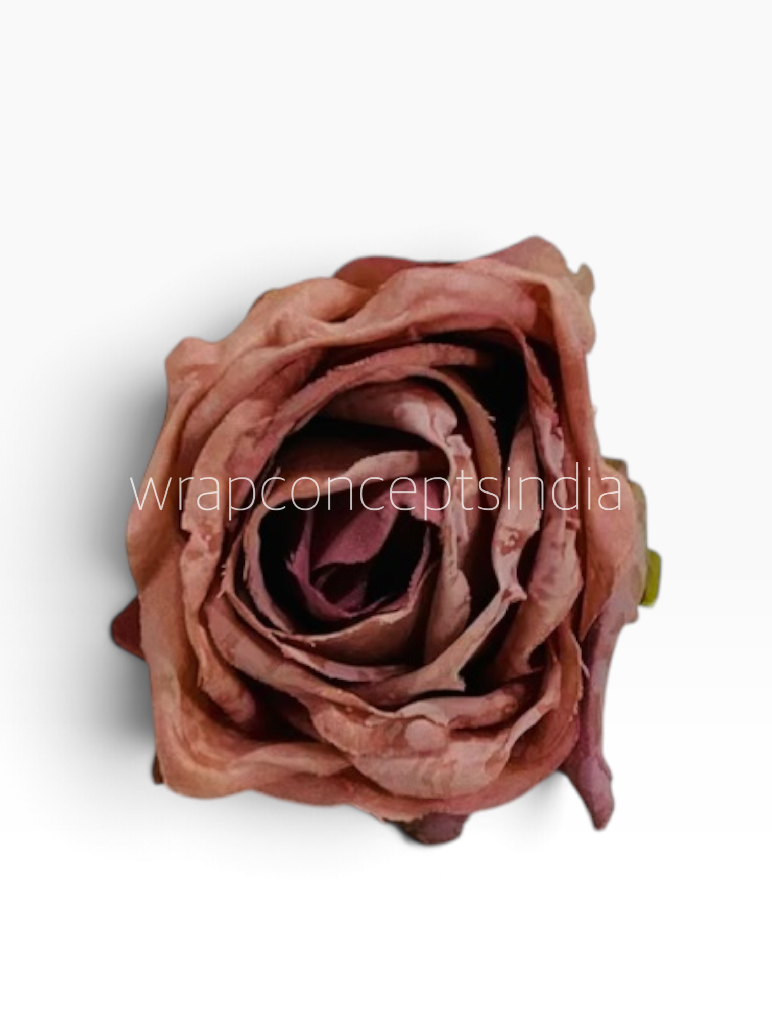 Dusty Blush Rose