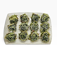 Weathered Sage Rose