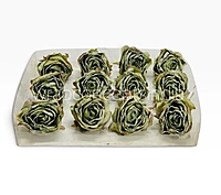 Weathered Sage Rose