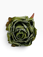 Weathered Sage Rose
