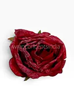 Burnt Crimson Rose