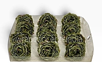 Mossy Sage Peony