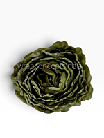 Mossy Sage Peony
