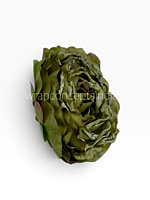 Mossy Sage Peony