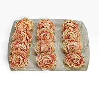 Vintage Peach Peony