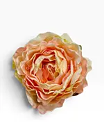 Vintage Peach Peony