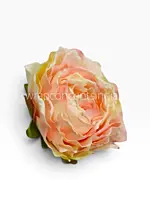 Vintage Peach Peony