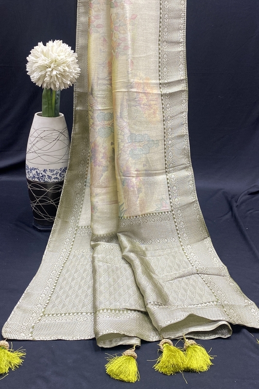 Iravathi Soft Tissue SWS573