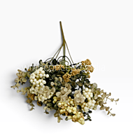 Autumn Berry Foliage Bunch