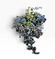 Autumn Berry Foliage Bunch