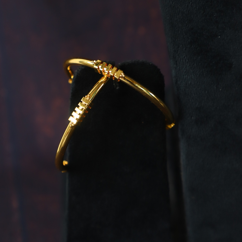 RITWIK BANGLE