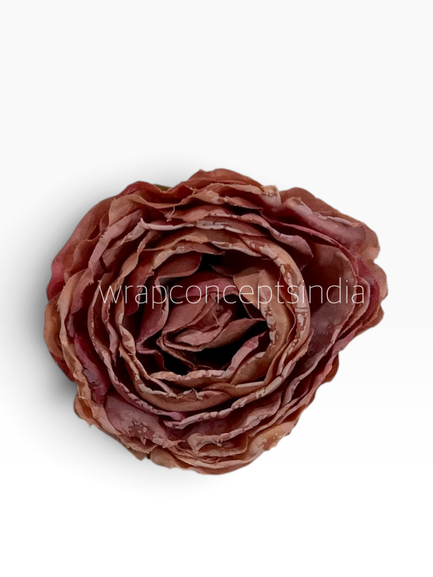 Vintage Blush Peony
