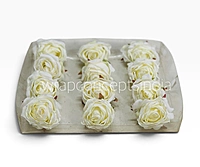 Weathered Ivory Rose