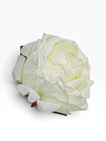 Weathered Ivory Rose