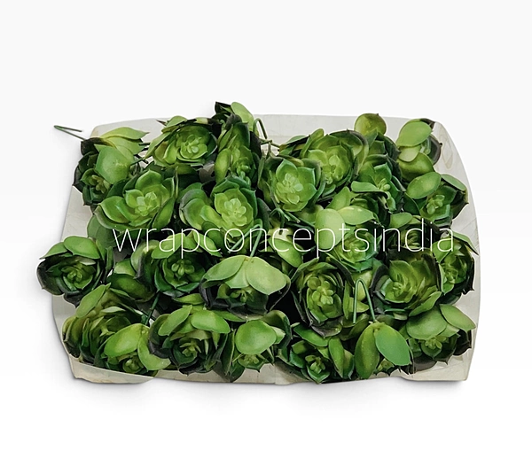 Green Rosette Succulent