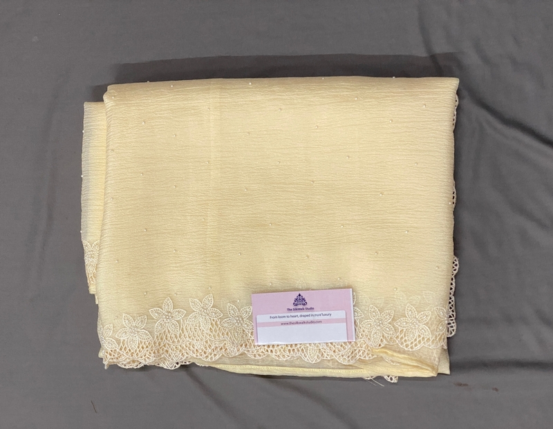 Rachel - The Crush Organza Saree in Bead Work SWS192