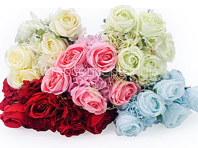 Rose & Hydrangea Bunch 