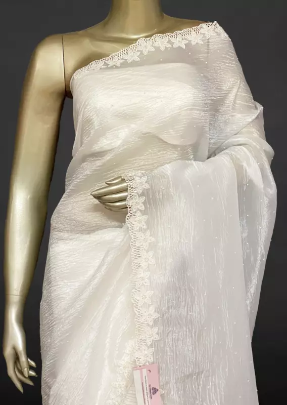 Rachel - The Crush Organza Saree in Bead Work SWS192