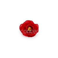 Scarlet Rose Flower