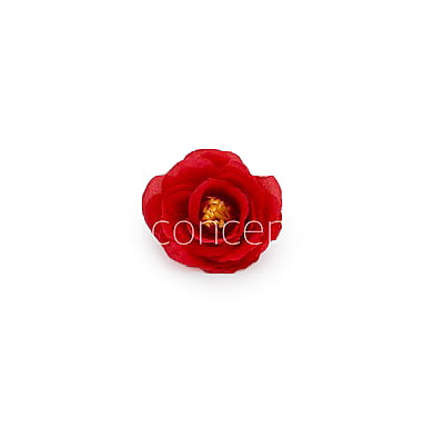 Scarlet Rose Flower