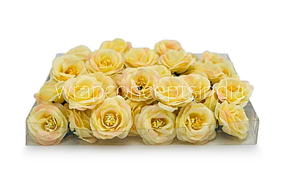 Lemon Yellow with hints of Pink Rose Flower
