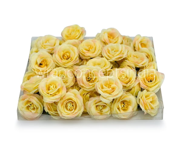 Lemon Yellow with hints of Pink Rose Flower