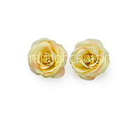 Lemon Yellow with hints of Pink Rose Flower