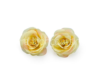 Lemon Yellow with hints of Pink Rose Flower