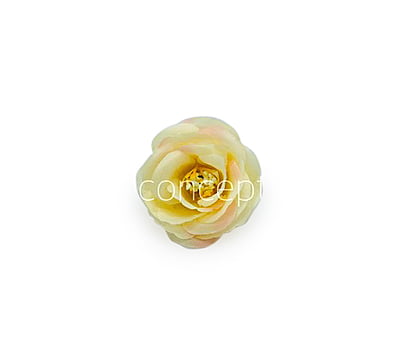 Lemon Yellow with hints of Pink Rose Flower