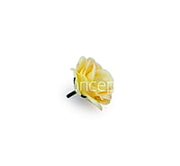 Lemon Yellow with hints of Pink Rose Flower