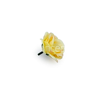 Lemon Yellow with hints of Pink Rose Flower