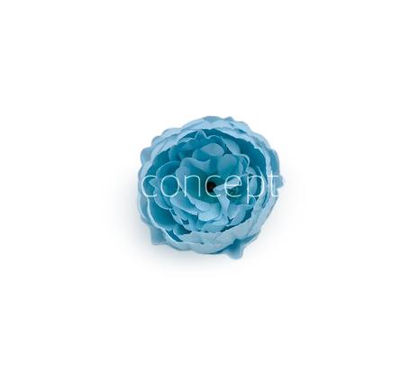 Powder Blue Peony
