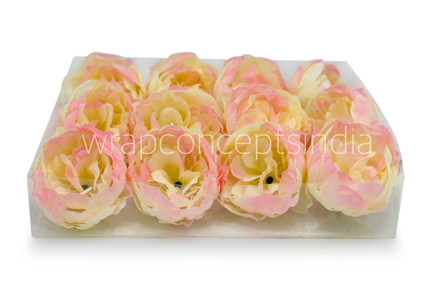 Cream with hints of Pink Peony