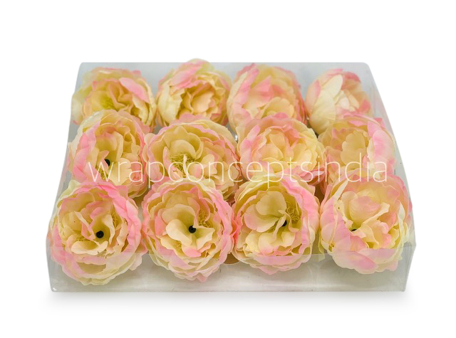 Cream with hints of Pink Peony