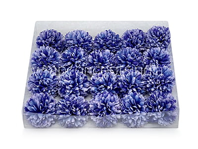 Carnation - Purplish Blue