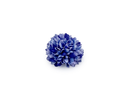 Carnation - Purplish Blue